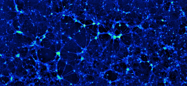 Ptychographic image of neuronal cells